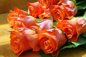 Pink and blue orange rose day whats app dp, facebook profile pic, wallpaper